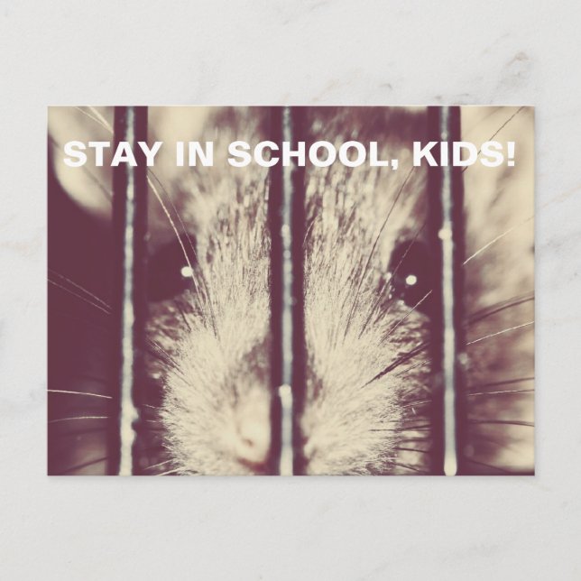 Funny Adorable Rat in Prison Postcard (Front)