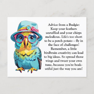 Funny Advice From A Budgie Postcard