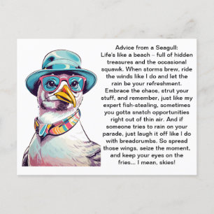 Funny Advice From A Seagull Postcard