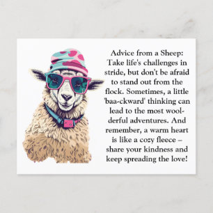 Funny Advice From A Sheep Postcard