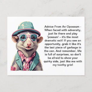 Funny Advice From An Opossum Postcard