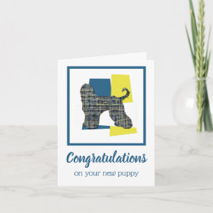Funny Afghan Hound Dog Congratulations Greeting Card