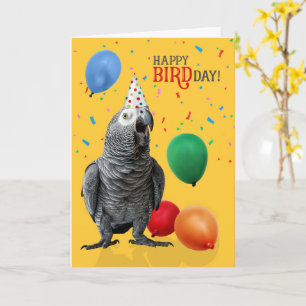 Funny African Grey Parrot Birthday Humour Card