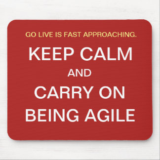 Funny Agile Project Manager Quote Project Team Mouse Pad