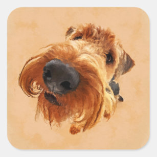 Funny  Airedale Terrier Square Sticker