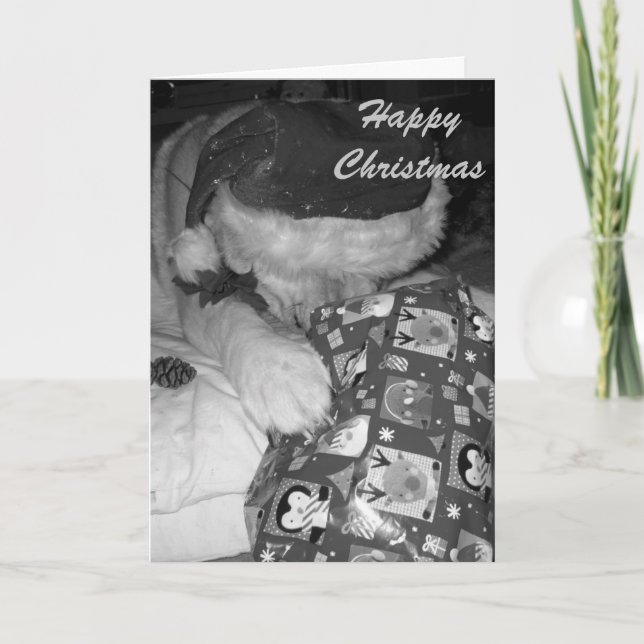 funny akita dog with christmas gift christmas holiday card (Front)