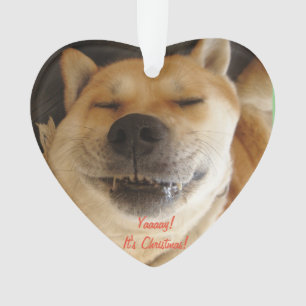 funny akita dog with cute smile for christmas orna ornament