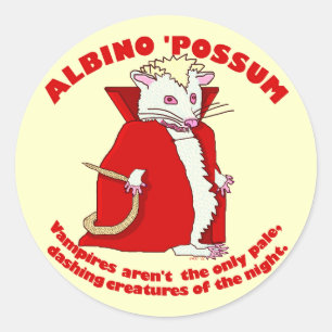 Funny Albino Possum Vampire Animal Humour Classic Round Sticker