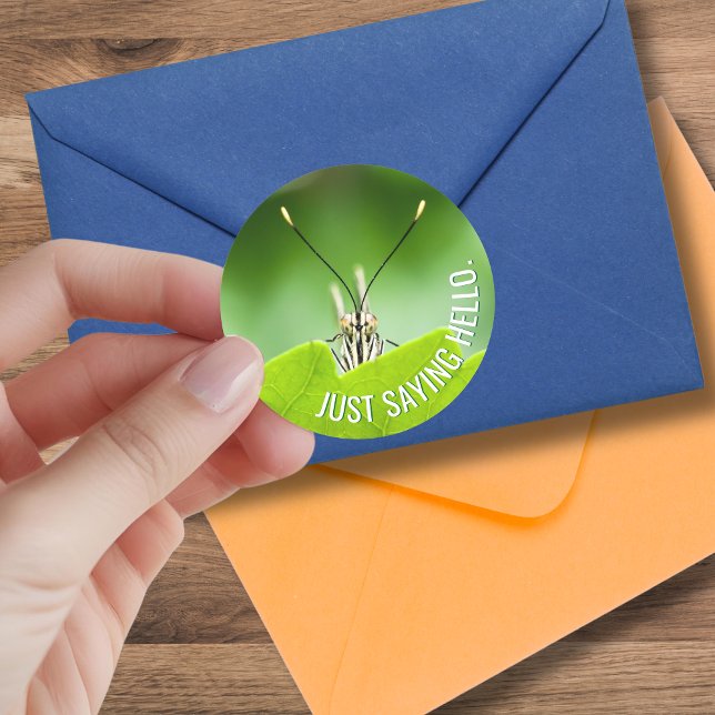 Funny All-Occasion Animal Butterfly Sticker  (A cute grasshopper goes with just about any occasion when you might send a card to a friend. )