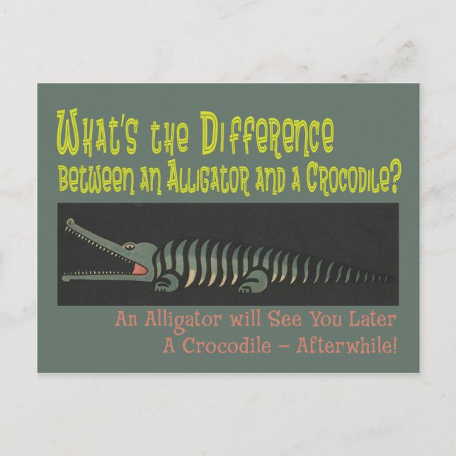 Funny Alligator Riddle for Kids Postcard (Front)