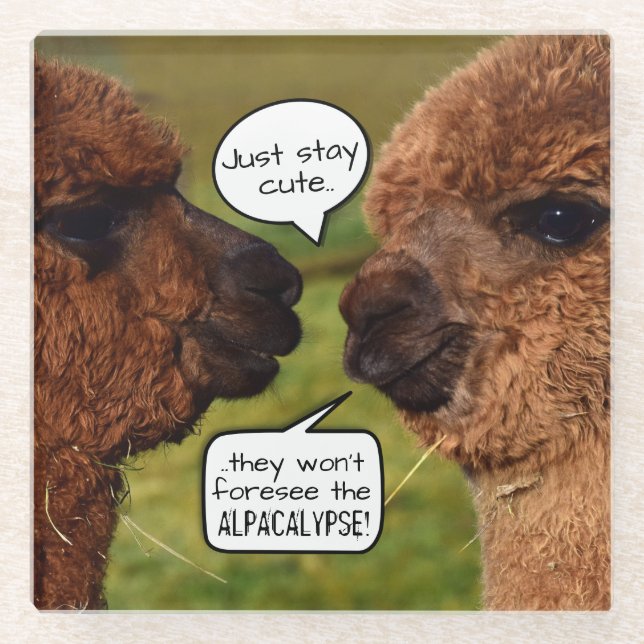 Funny Alpaca Alpacalypse Scheming Glass Coaster (Front)
