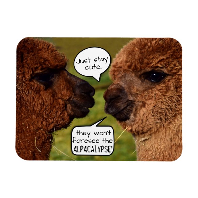 Funny Alpaca Alpacalypse Scheming Magnet (Horizontal)