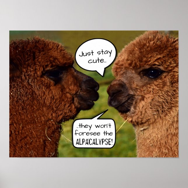 Funny Alpaca Alpacalypse Scheming Poster (Front)