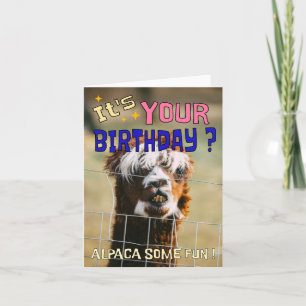 Funny Alpaca Birthday Card – Animal Pun Humor