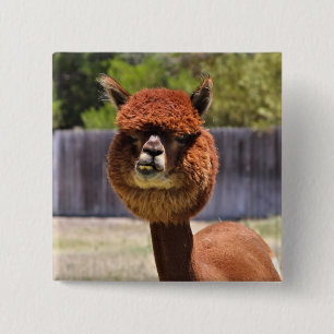 Funny Alpaca Button