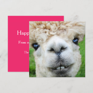 Funny Alpaca Christmas card