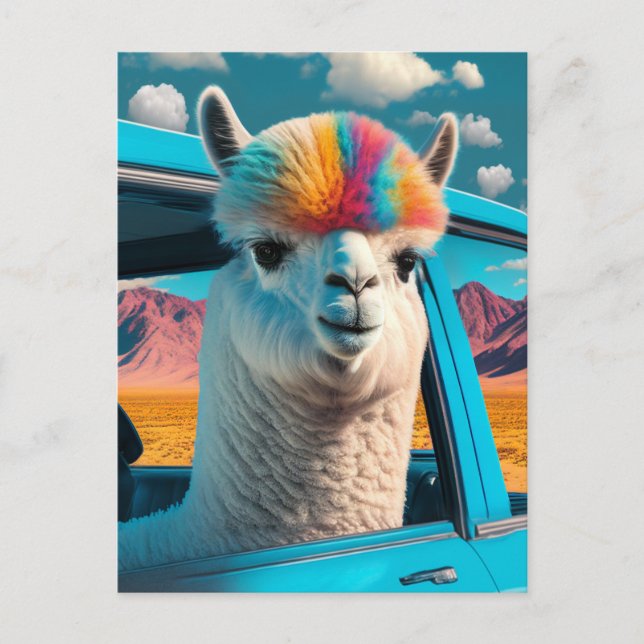 Funny Alpaca in a Car Art Postcard (Front)