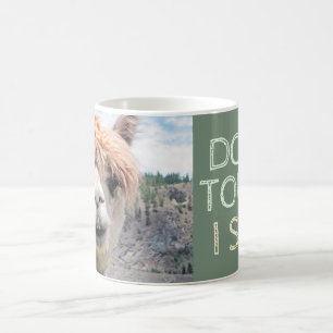 Funny Alpaca Llama Don't Touch I Spit Coffee Mug