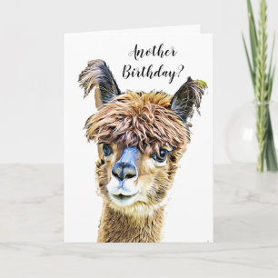 Funny Alpaca Llama Humour Birthday Card