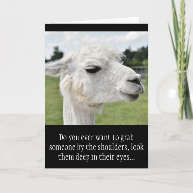 Funny Alpaca Llama Photo with Jokes Card (Front)