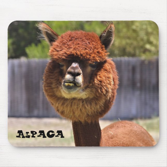 Funny Alpaca Mousepad (Front)