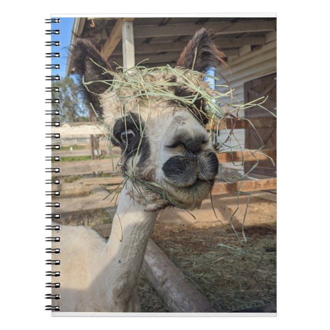Funny Alpaca Notebook (Front)