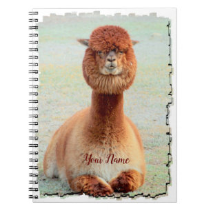 Funny Alpaca Photo Notebook