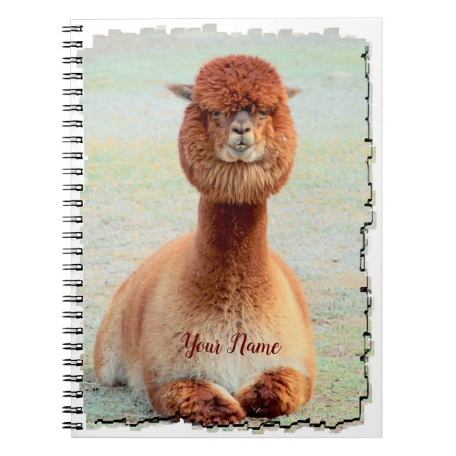 Funny Alpaca Photo Notebook (Front)
