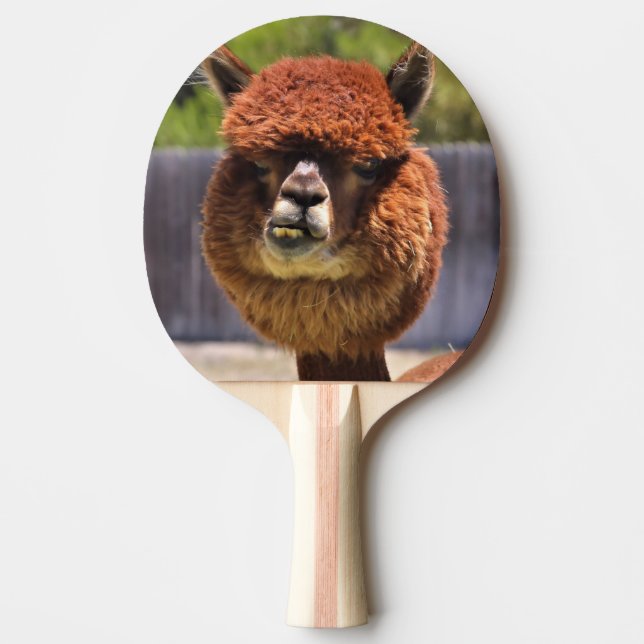 Funny Alpaca Ping Pong Paddle (Front)