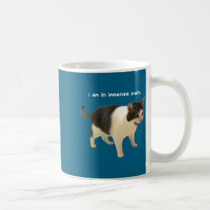 Funny Am Immense Pain Cat Meme Coffee Mug