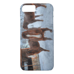 Funny Amorous Stallion and Reluctant Mare Horses iPhone 8/7 Case