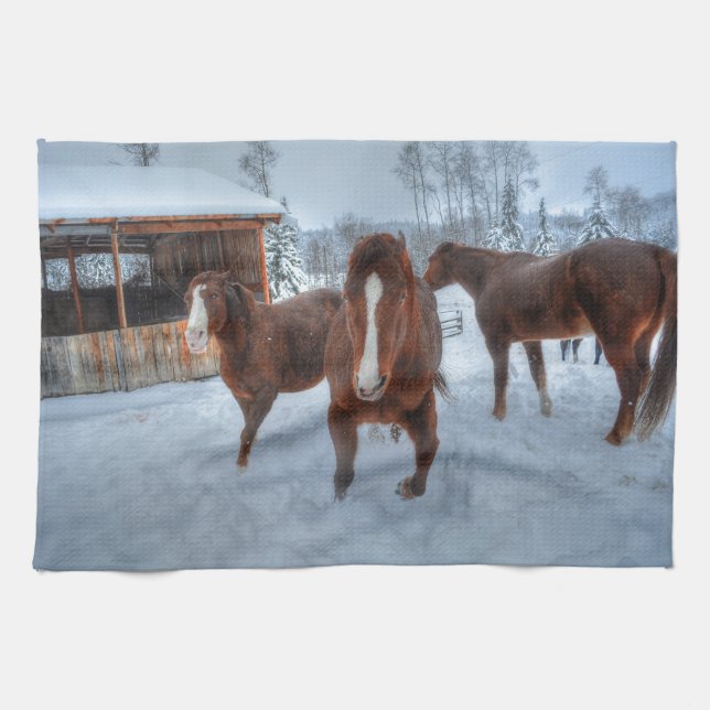 Funny Amorous Stallion and Reluctant Mare Horses Tea Towel (Horizontal)