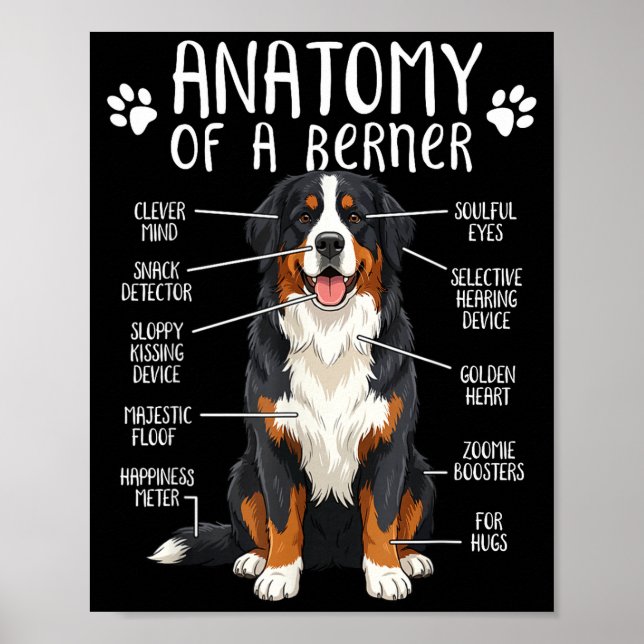 Funny Anatomy Bernese Mountain Dog Cute Berner Lov Poster (Front)