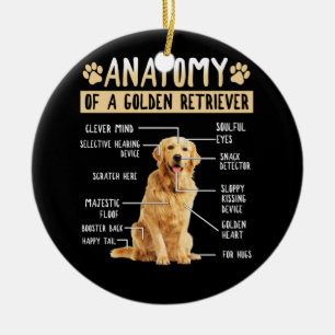 Funny Anatomy Golden Retriever Dog Lover Gift Ceramic Ornament