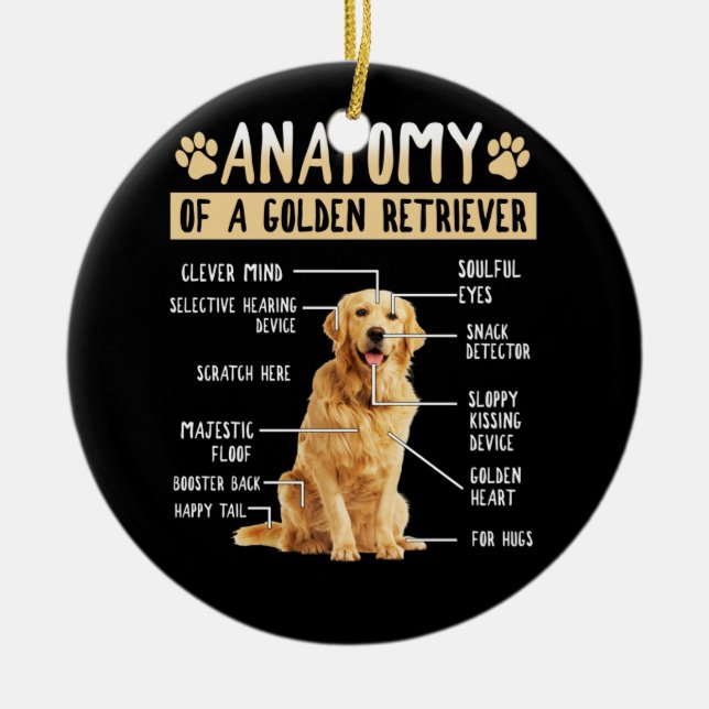 Funny Anatomy Golden Retriever Dog Lover Gift Ceramic Ornament (Front)