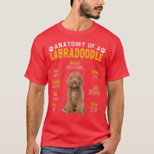 Funny Anatomy Labradoodle Gifts For Women Men  T-Shirt
