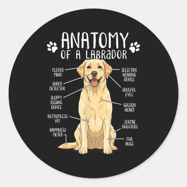 Funny Anatomy Labrador Retriever Yellow Lab Dog Ow Classic Round Sticker (Front)