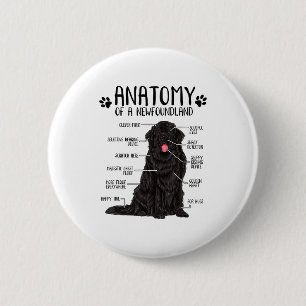 Funny Anatomy Newfoundland Dog Cute Newfie Lover 6 Cm Round Badge