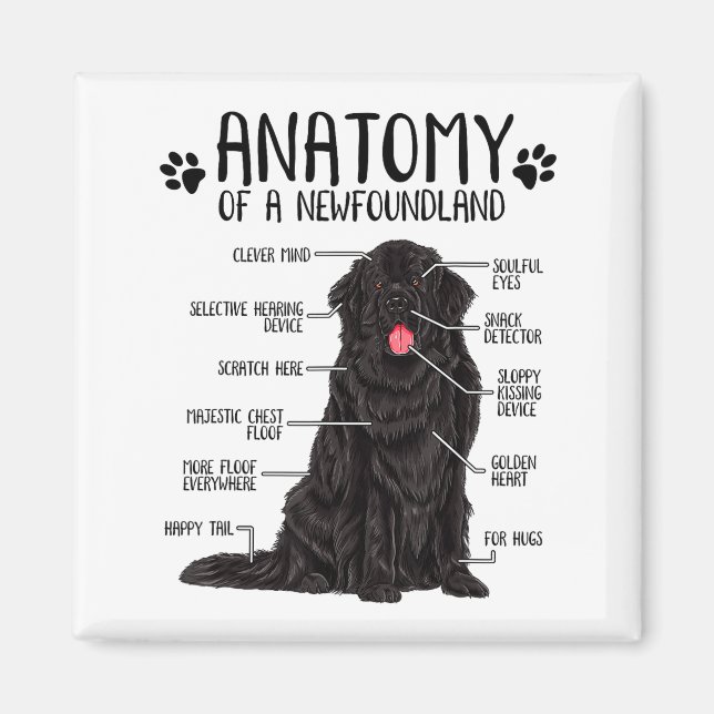 Funny Anatomy Newfoundland Dog Cute Newfie Lover  Magnet (Front)