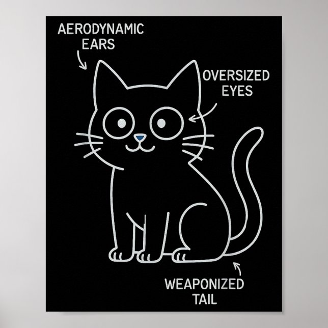 Funny Anatomy Of A Cat Blueprint Sarcastic Enginee Poster (Front)