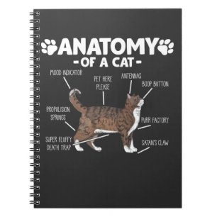 Funny Anatomy of a Cat Cute Kitty Lover Pet Owner Notebook
