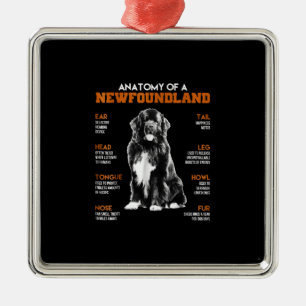 Funny Anatomy Of A Newfoundland Dogs Metal Ornament
