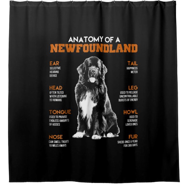 Funny Anatomy Of A Newfoundland Dogs Shower Curtain (Front)