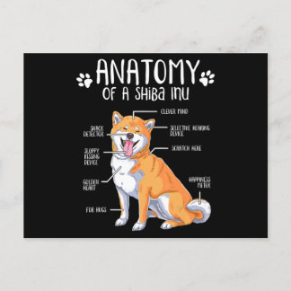 funny anatomy shiba inu dog lover gift invitation postcard