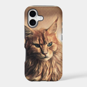 Funny And Crazy Cat