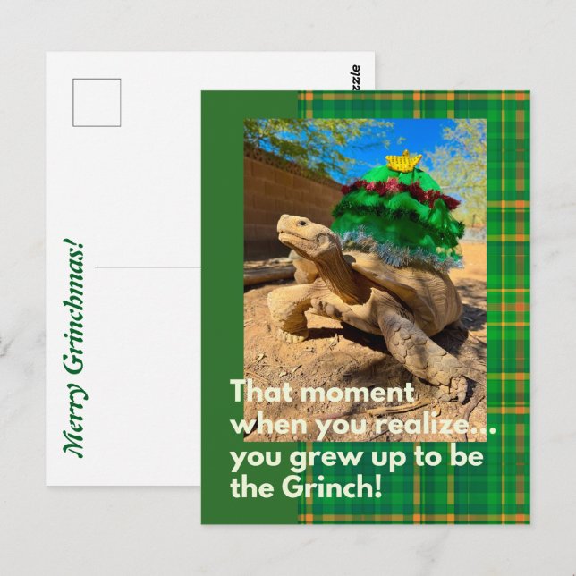Funny and Festive Grinch Sulcata Tortoise Holiday Postcard (Front/Back)
