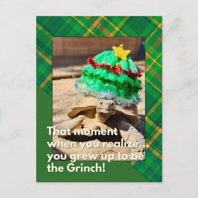 Funny and Festive Grinch Tortoise Christmas Postcard (Front)
