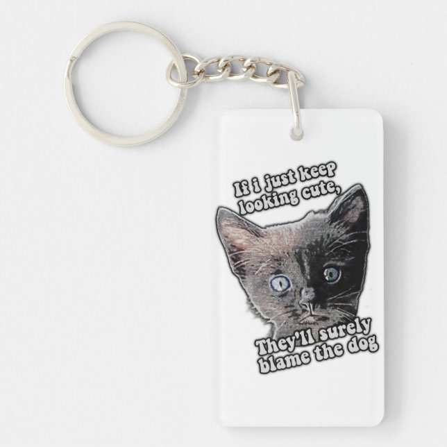Funny angry cat meme for cat owners and lovers key ring (Front)