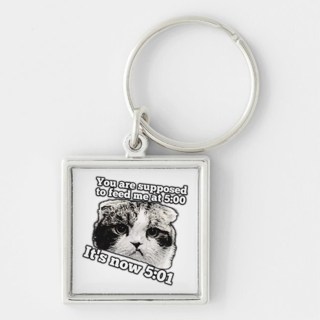 Funny angry cat meme for kitty owners key ring (Front)