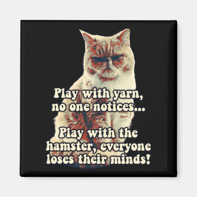 Funny Angry Cat Meme For Kitty Persons Cat Lovers  Magnet (Front)
